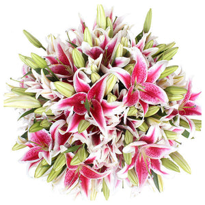 A Bouquet of Lilies